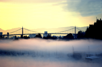 bridge